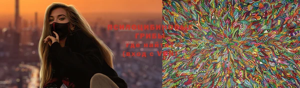 дурь Алексеевка