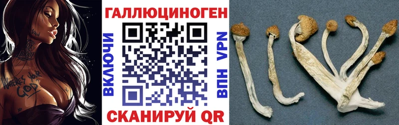 Псилоцибиновые грибы прущие грибы ОМГ ОМГ зеркало Абакан