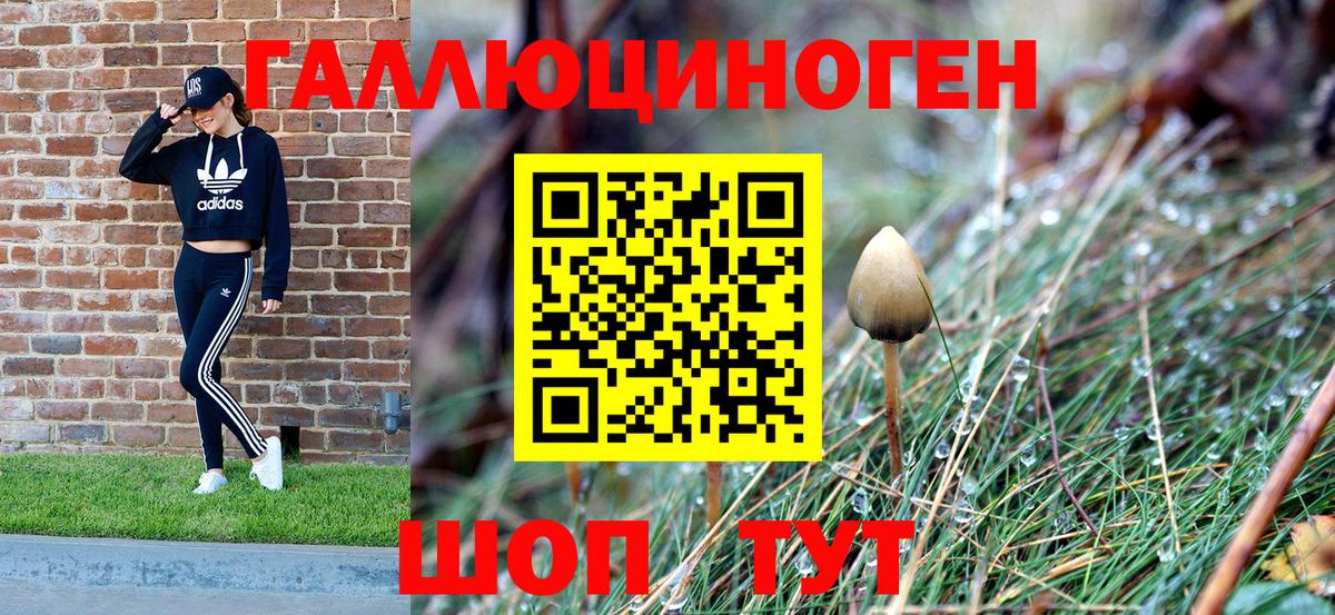 Галлюциногенные грибы ЛСД Абакан