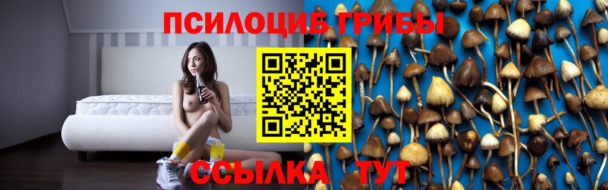 Псилоцибиновые грибы Cubensis  Псилоцибиновые грибы Psilocybe  Вход с VPN  Абакан 